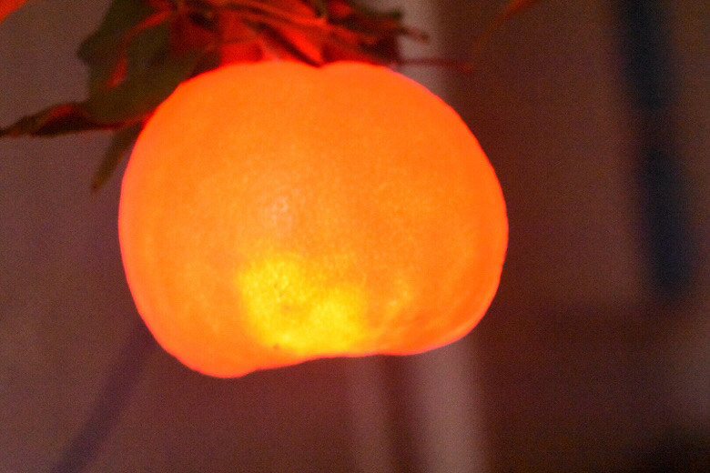 ����Ȥ��һ�ҡ�+����վ��һ�η���