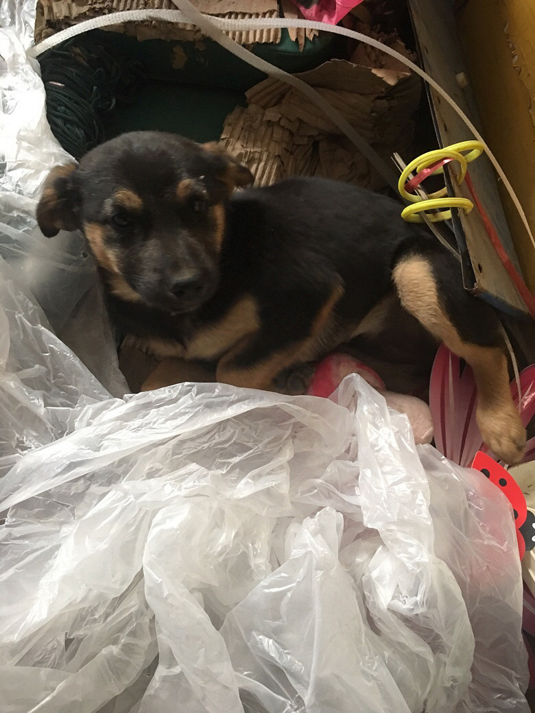 ����������������£������������ϵ�绰��