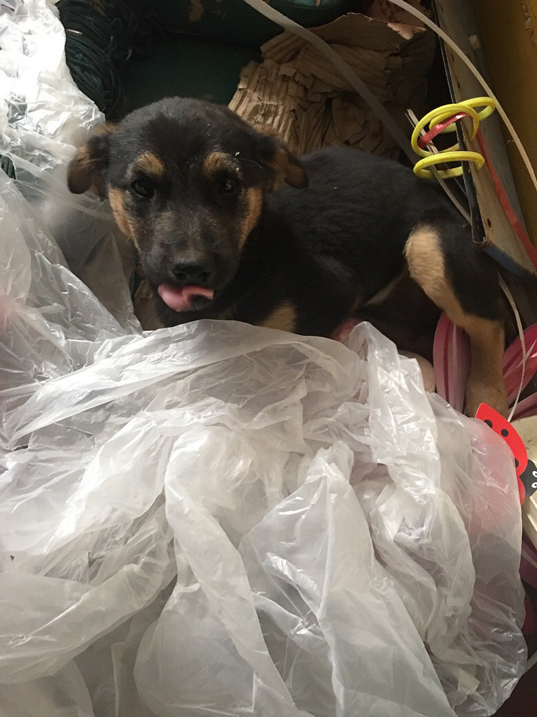 ����������������£������������ϵ�绰��