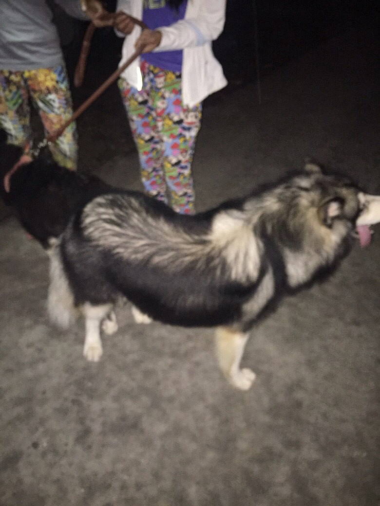 ����˹��Ҫ���ֵ���ϵ��