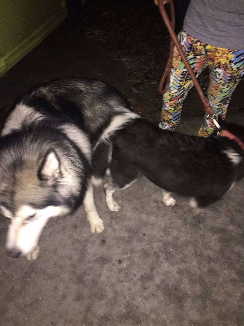 ����˹��Ҫ���ֵ���ϵ��