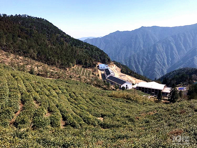 旅游日记黄岩大寺基东亚山庄