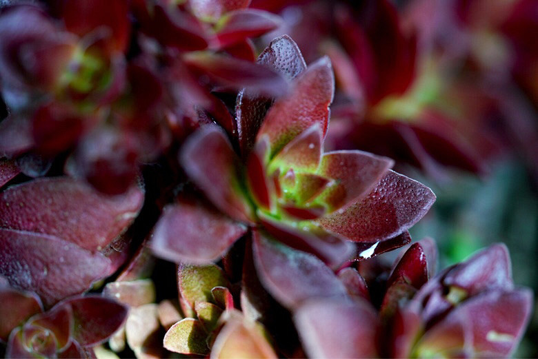 ��֪�˶����Ǻ�Ʒ�֣����Ѹ�֮���ҿ�������