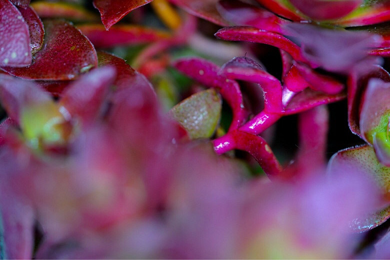 ��֪�˶����Ǻ�Ʒ�֣����Ѹ�֮���ҿ�������