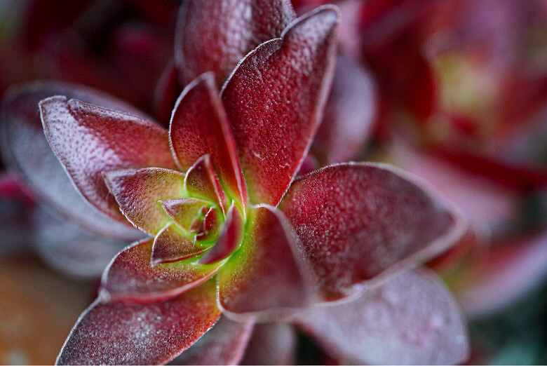 ��֪�˶����Ǻ�Ʒ�֣����Ѹ�֮���ҿ�������