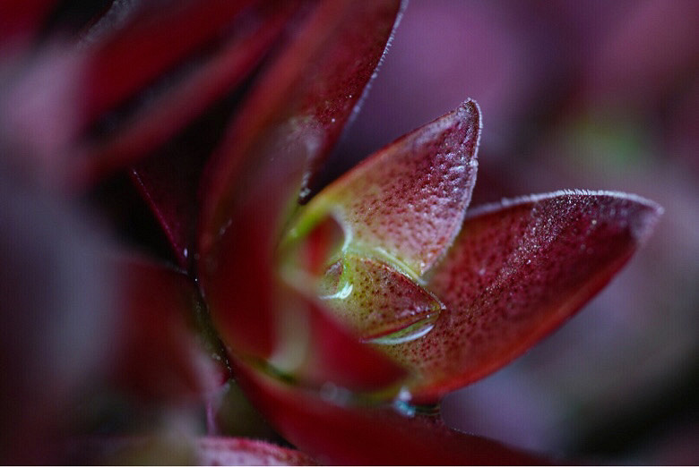 ��֪�˶����Ǻ�Ʒ�֣����Ѹ�֮���ҿ�������