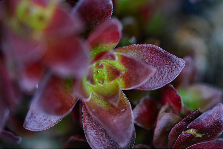 ��֪�˶����Ǻ�Ʒ�֣����Ѹ�֮���ҿ�������