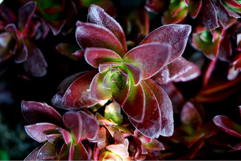 ��֪�˶����Ǻ�Ʒ�֣����Ѹ�֮���ҿ�������