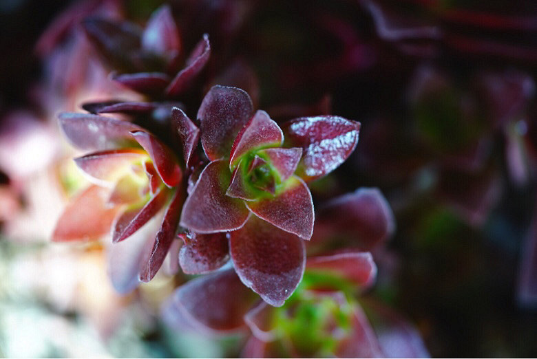 ��֪�˶����Ǻ�Ʒ�֣����Ѹ�֮���ҿ�������