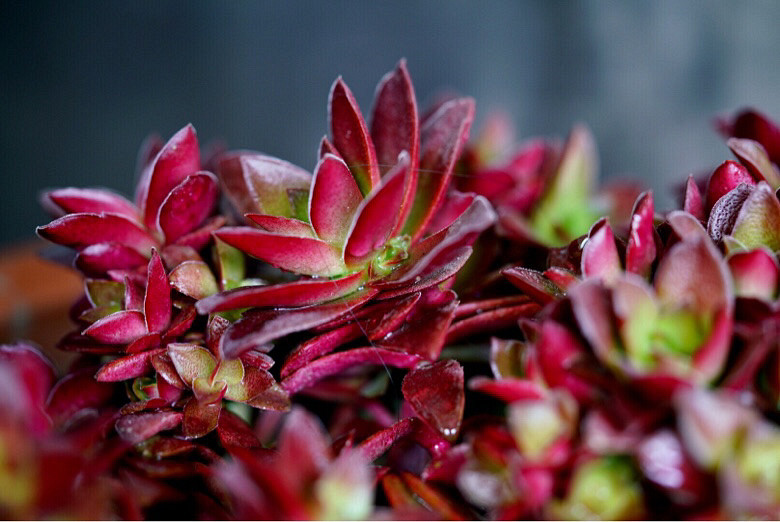 ��֪�˶����Ǻ�Ʒ�֣����Ѹ�֮���ҿ�������