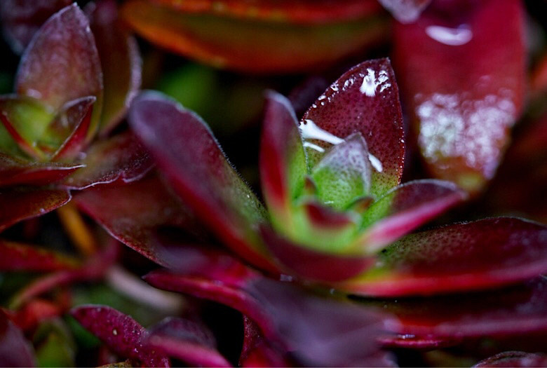 ��֪�˶����Ǻ�Ʒ�֣����Ѹ�֮���ҿ�������