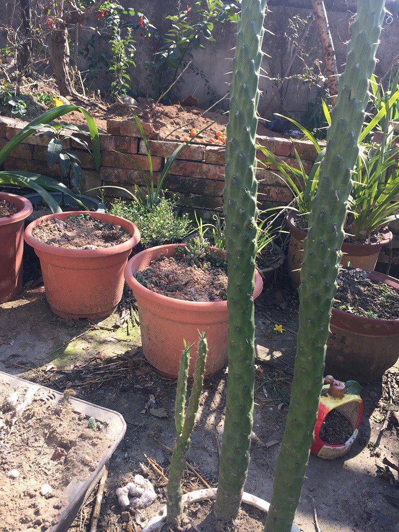 ���֮�����ʲô����