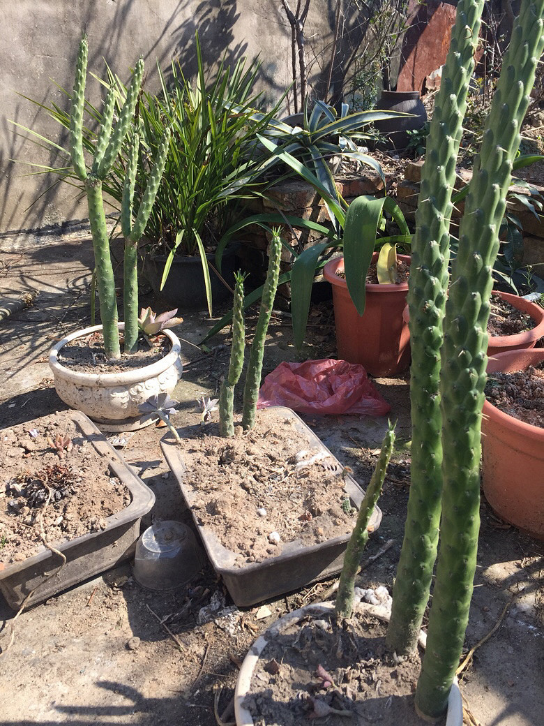 ���֮�����ʲô����