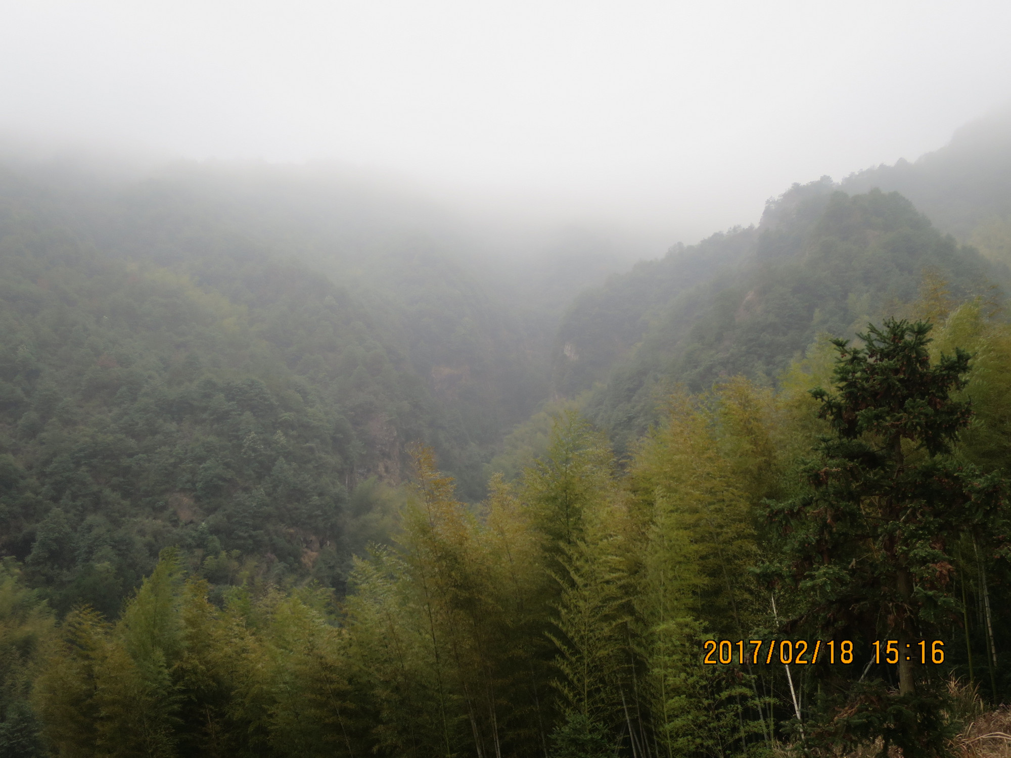 永乐古道雾中穿行——庄屋,山岙头,郑源,大公山,菖蒲塘环走