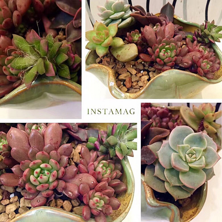 ���ı���