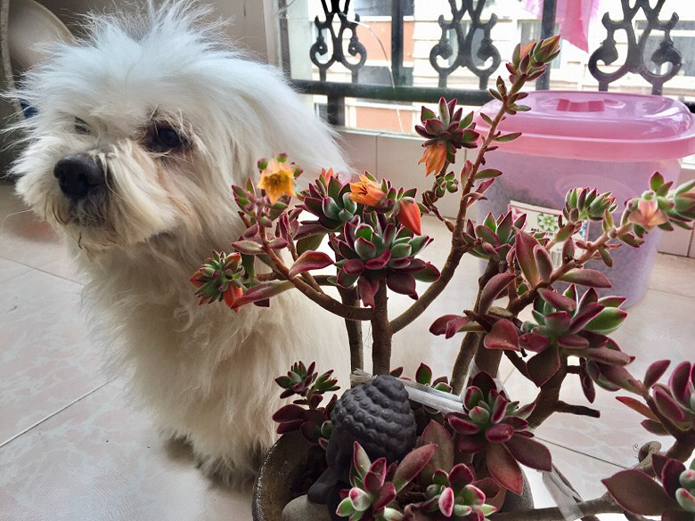 �����е�������ȥ�������һȦ�����ְ�