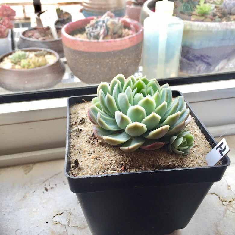 �����е�������ȥ�������һȦ�����ְ�