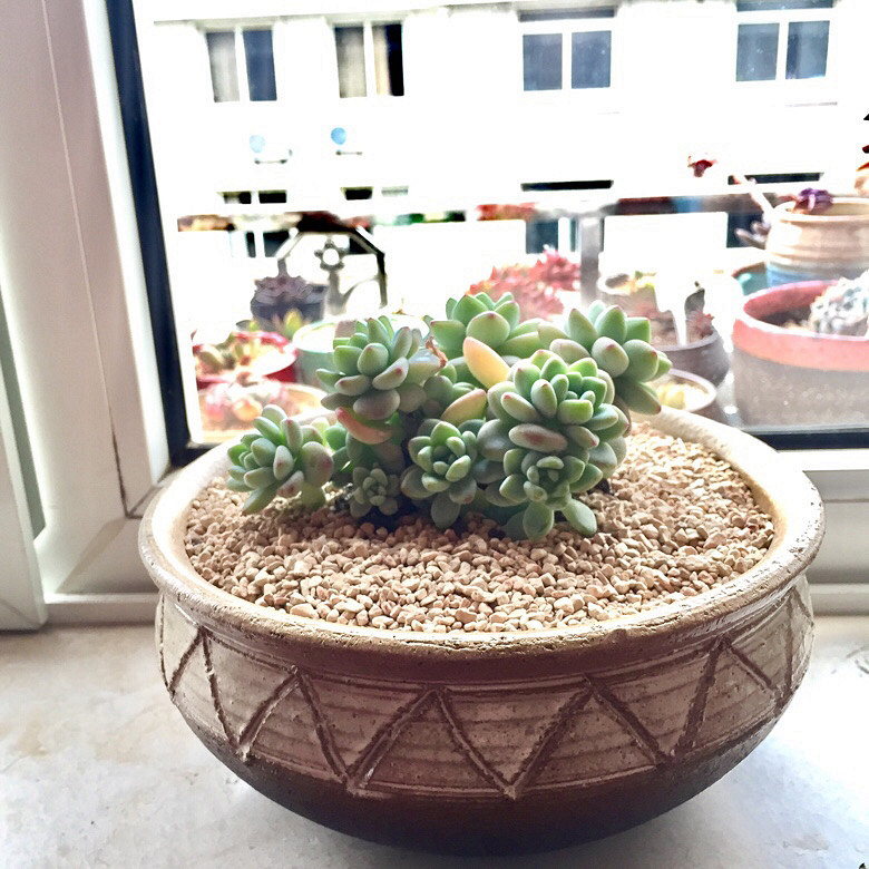 �����е�������ȥ�������һȦ�����ְ�