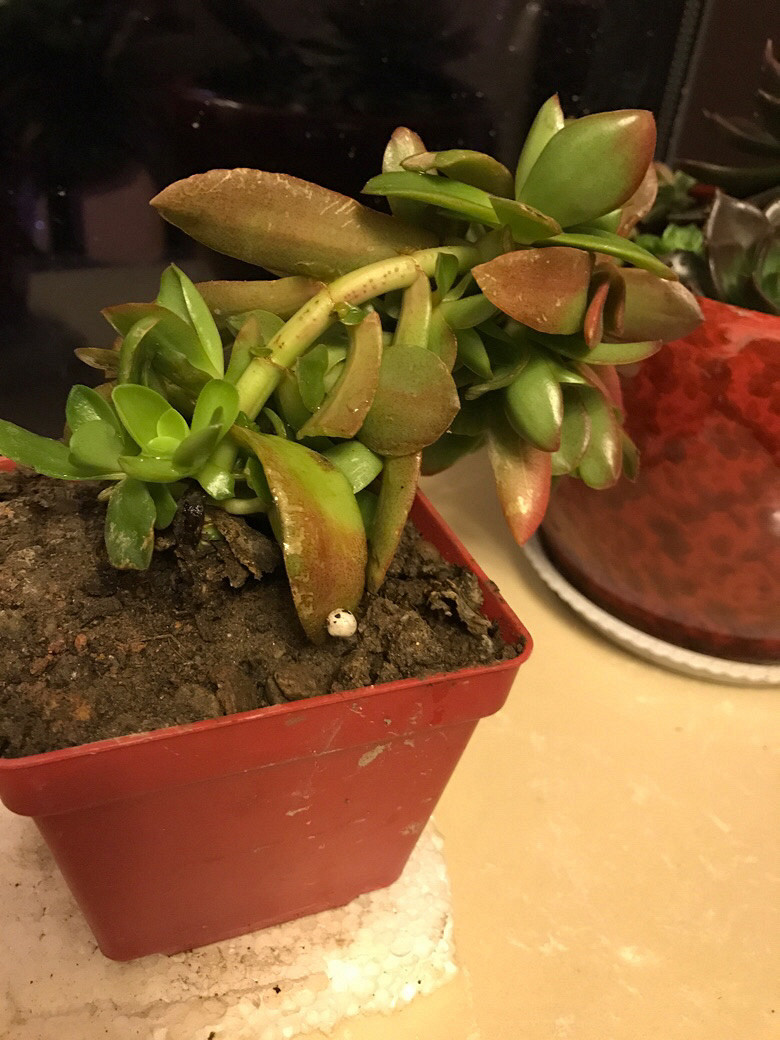 ̫�߶����ˡ���ô�졣���Լ�����