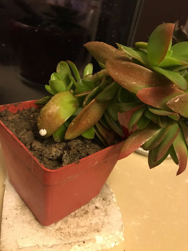 ̫�߶����ˡ���ô�졣���Լ�����