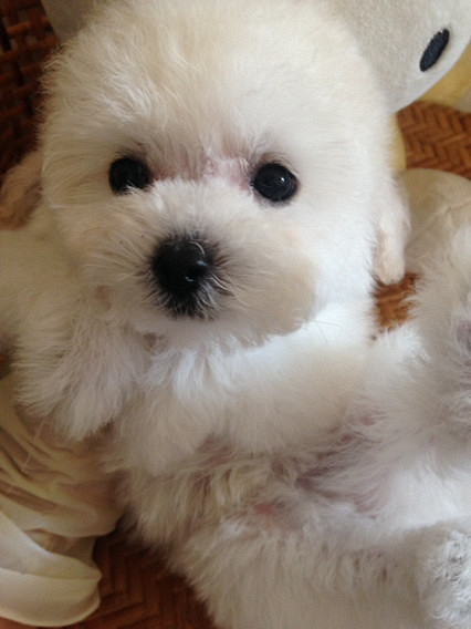 ������ƷС��׹󣬻�����ۣ�Ʒ���Լ�����