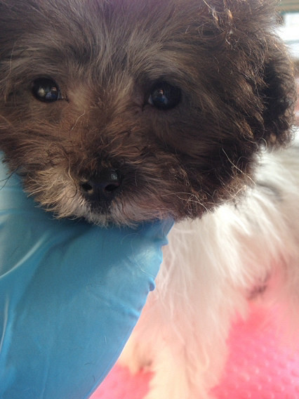 ������ƷС��׹󣬻�����ۣ�Ʒ���Լ�����