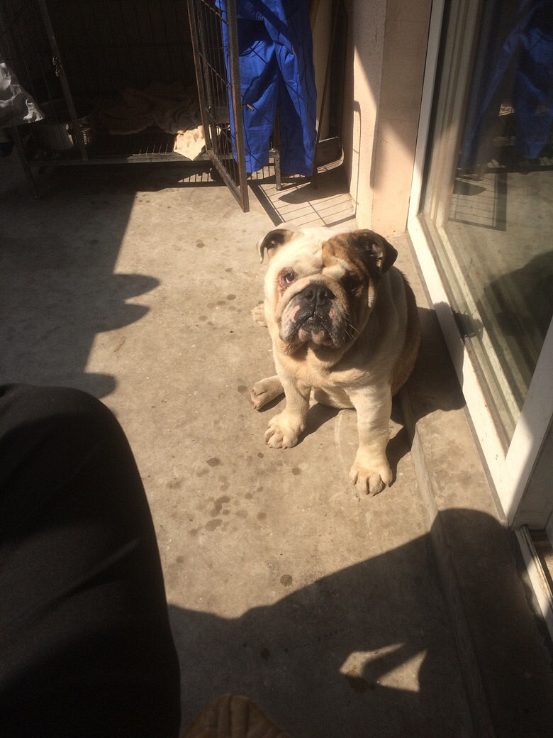 ������ţ