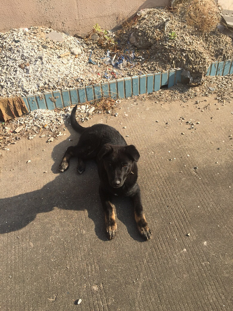 ����ʲô��