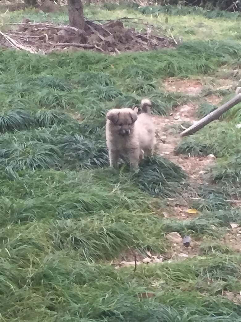 ����Ҫ����С������ ���彡��  �������