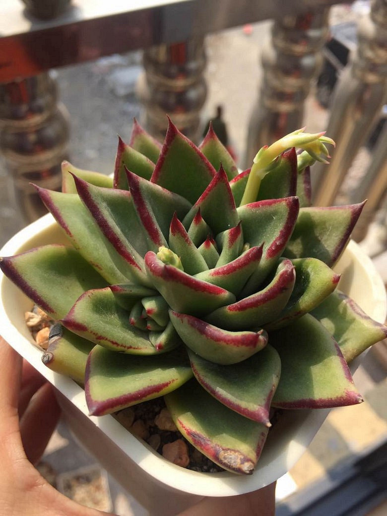 �����ѵ���ʱ���ĵ�