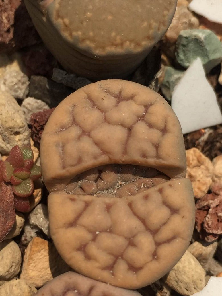 �����ѵ���ʱ���ĵ�