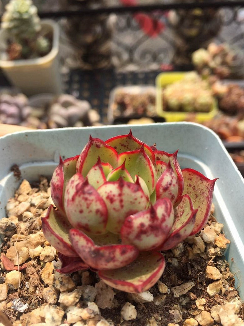 �����ѵ���ʱ���ĵ�