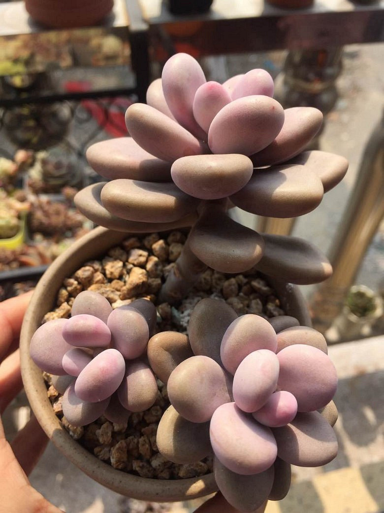 �����ѵ���ʱ���ĵ�