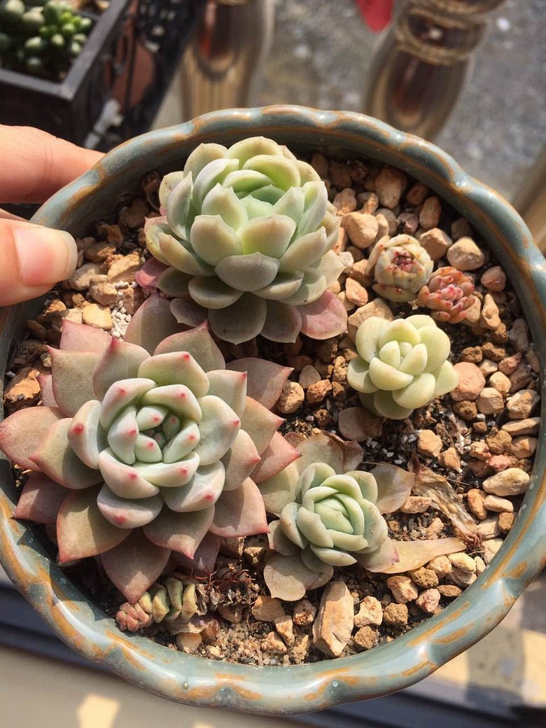 �����ѵ���ʱ���ĵ�