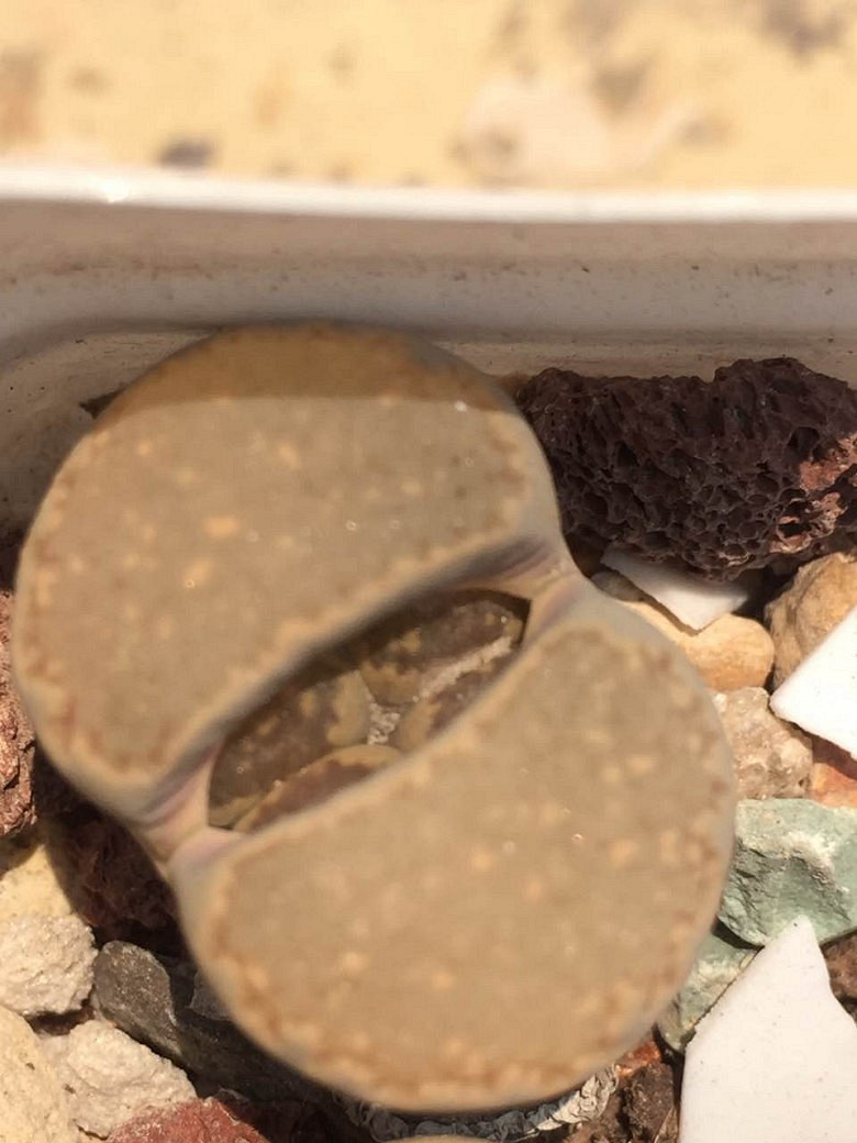 �����ѵ���ʱ���ĵ�