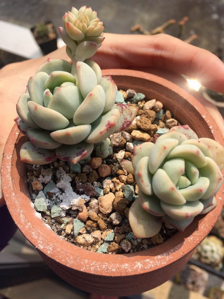 �����ѵ���ʱ���ĵ�