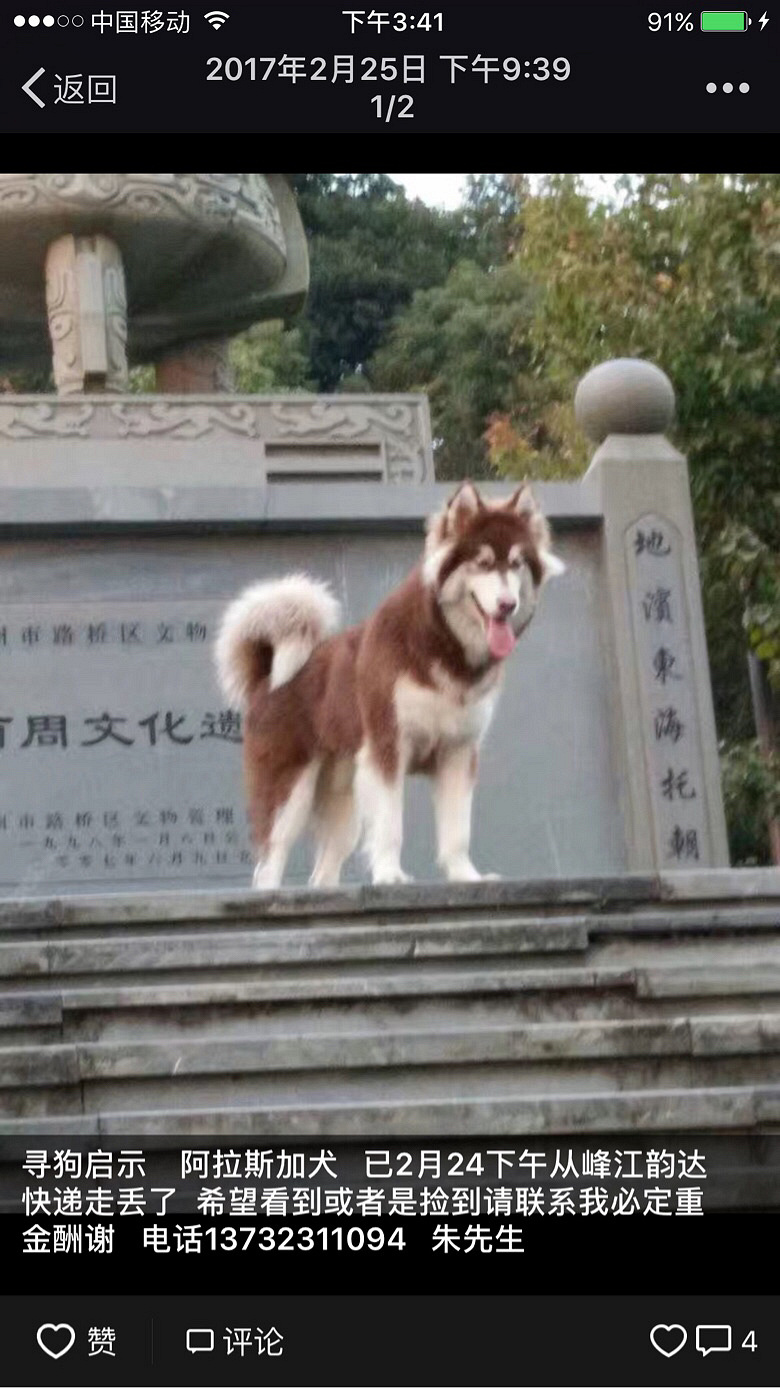 ����ɢ������Ұ�æ�����£����Ѻܼ���