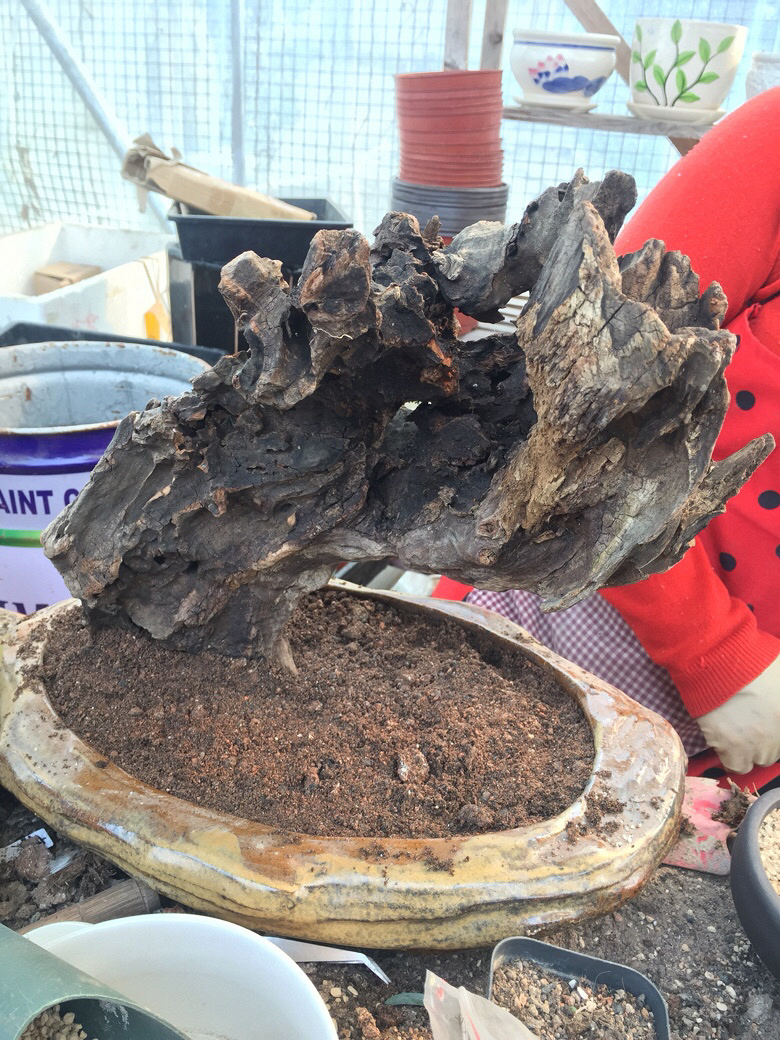 һ��ɽ�ϼ�����ľͷ�������������ˣ�һ����