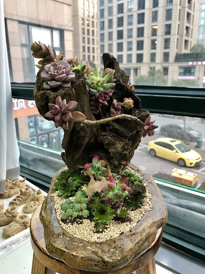 һ��ɽ�ϼ�����ľͷ�������������ˣ�һ����