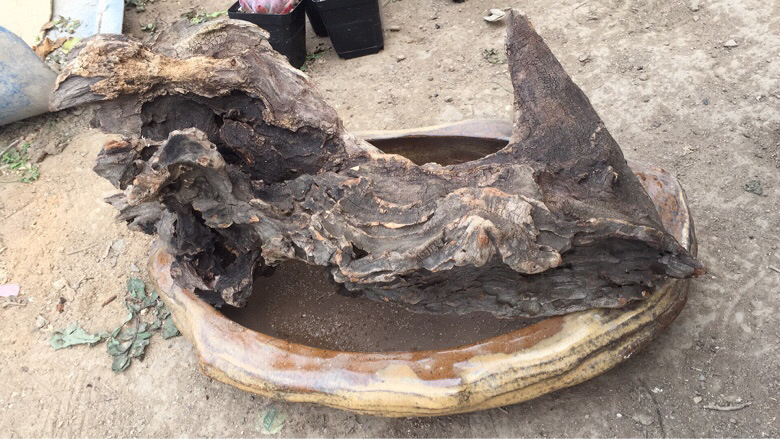 һ��ɽ�ϼ�����ľͷ�������������ˣ�һ����