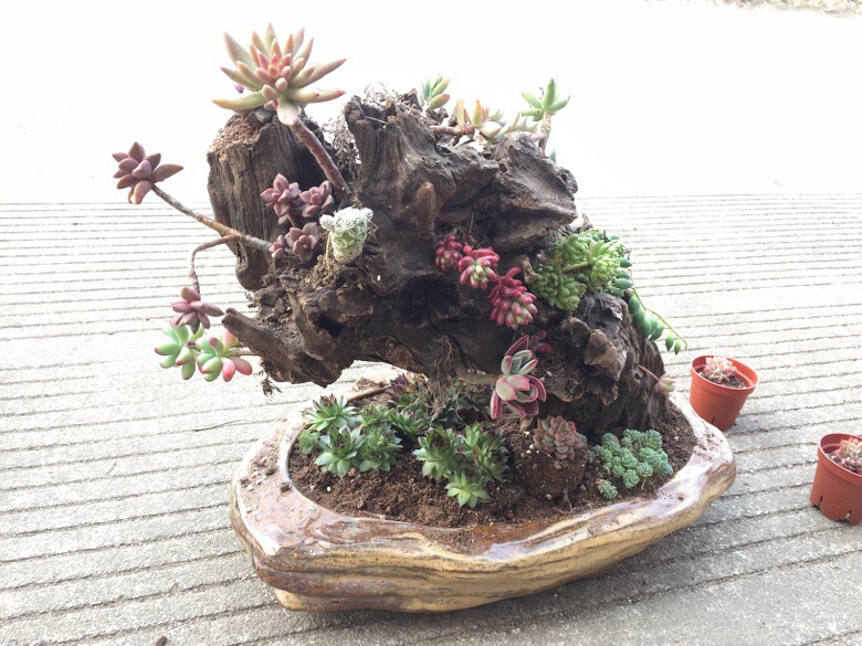 һ��ɽ�ϼ�����ľͷ�������������ˣ�һ����