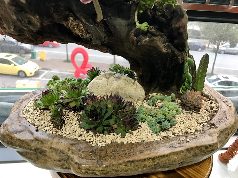 һ��ɽ�ϼ�����ľͷ�������������ˣ�һ����