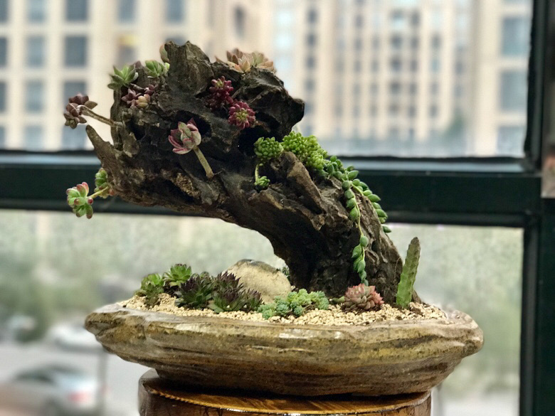 һ��ɽ�ϼ�����ľͷ�������������ˣ�һ����