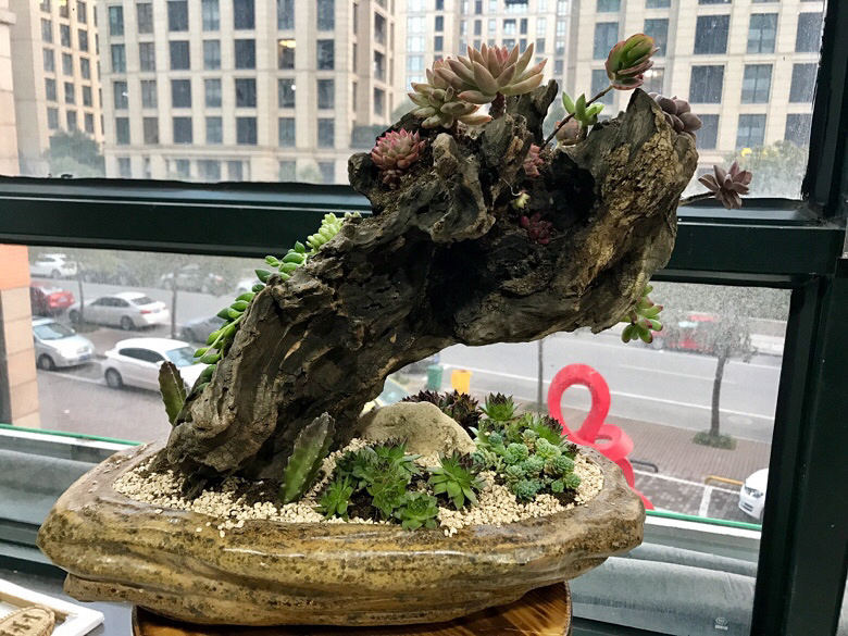 һ��ɽ�ϼ�����ľͷ�������������ˣ�һ����