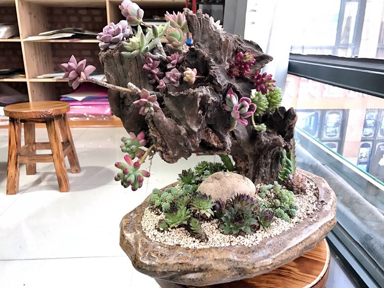 һ��ɽ�ϼ�����ľͷ�������������ˣ�һ����