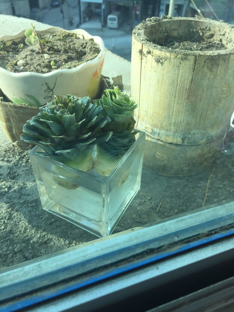 ׼��diy�����ˣ���ʣ��Ҭ�ʿǣ���Ҫ��é