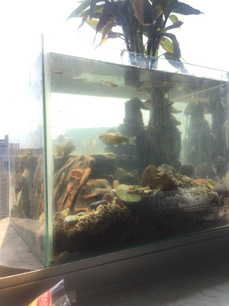 �������ģ��������Ƶ�С���