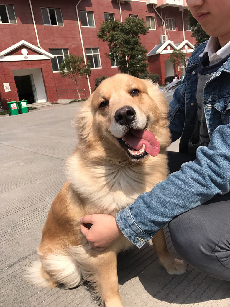 �������£��Լ��������ë��ʼ���飬������