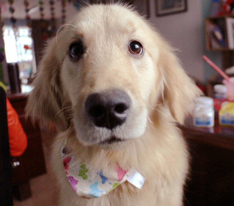 �������£��Լ��������ë��ʼ���飬������