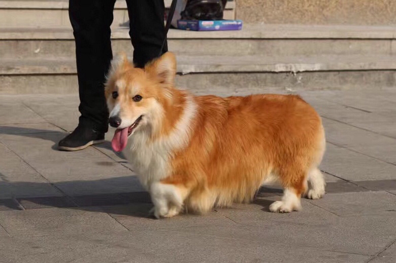 �»�¶������˳������